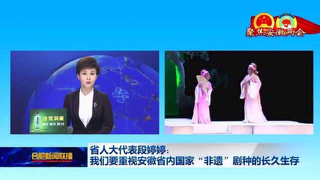 省人大代表段婷婷:我们要重视安徽省内国家“非遗”剧种的 长久生存