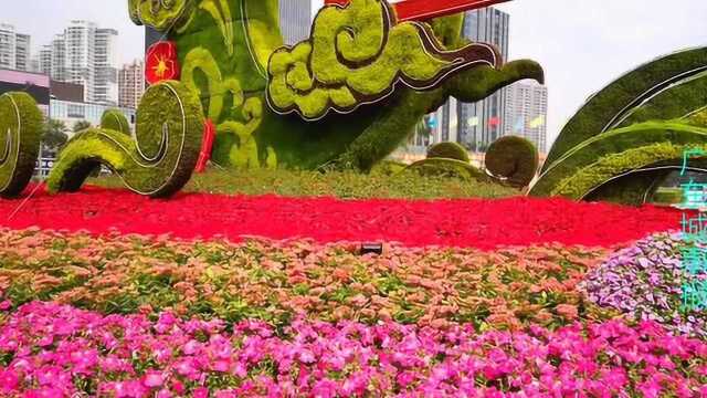 深圳龙华文化广场:大型景观花坛已经组装好,静等着游客来观赏