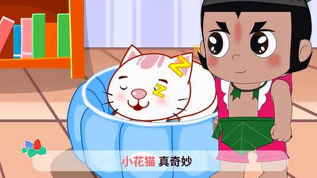 葫芦娃儿歌:松之颂和小花猫双享版