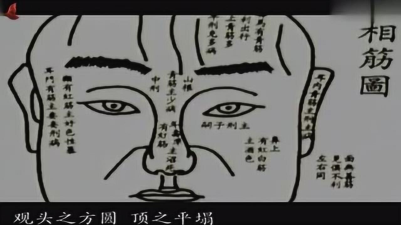 麻衣神相1下:眉秀长超过眼睛,显示此人将来富贵,论眉!