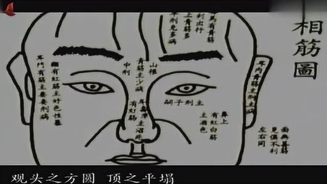 麻衣神相1下:眉秀长超过眼睛,显示此人将来富贵,论眉!