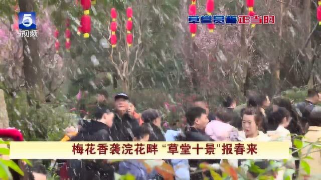 成都:梅花香袭浣花畔 “草堂十景”报春来