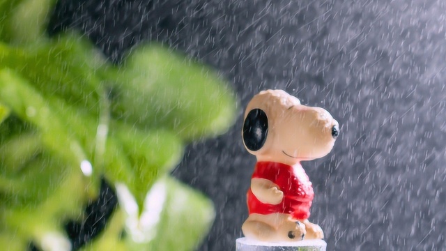 一萱摄影 拍过漂亮的雨滴吗 雨丝的拍摄技巧 春雨的拍摄