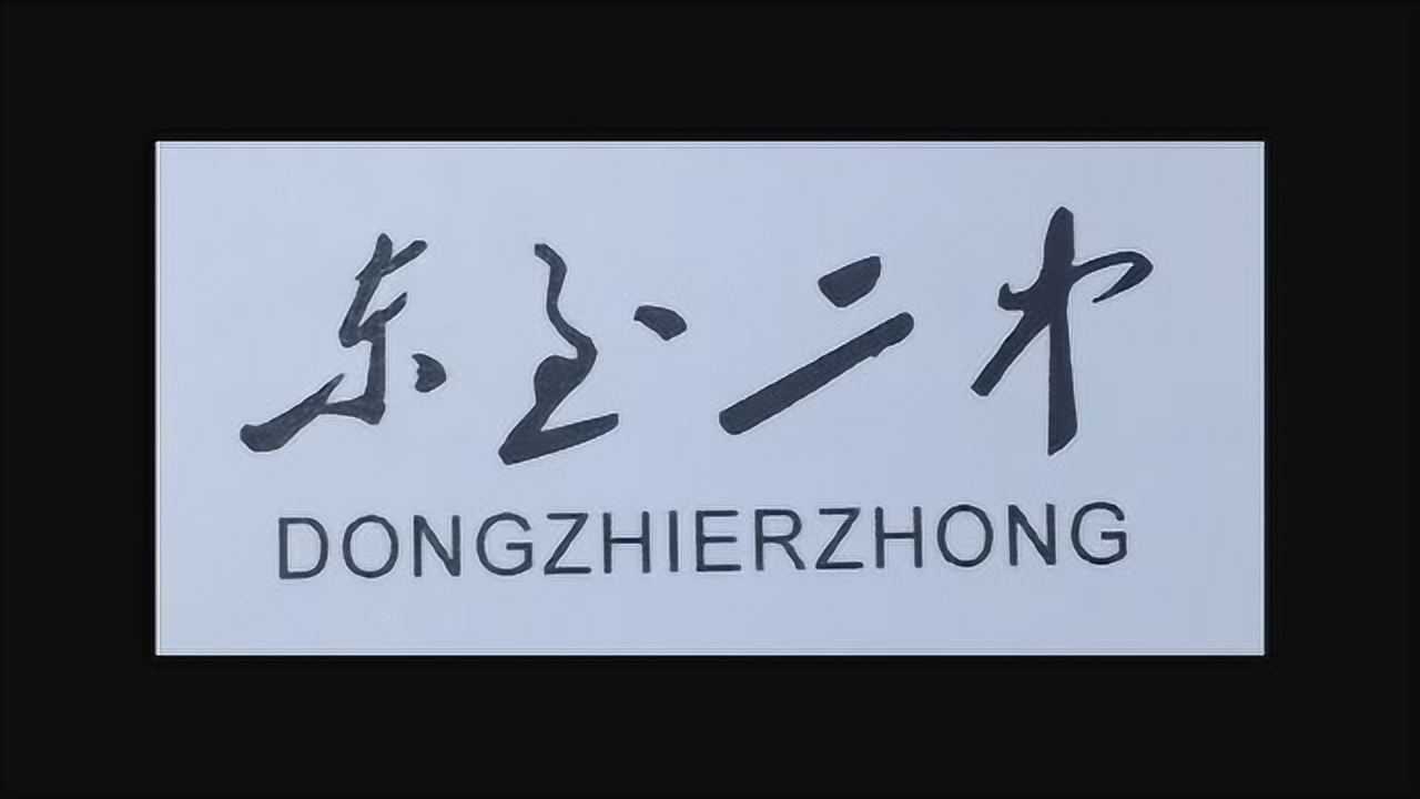 安徽省东至二中高考加油视频