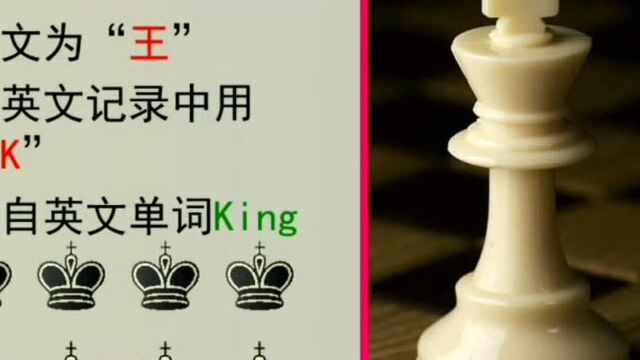 国际象棋棋子王