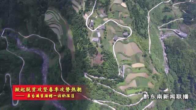 雷山:乡村“组组通”全覆盖 连通村里“致富路”