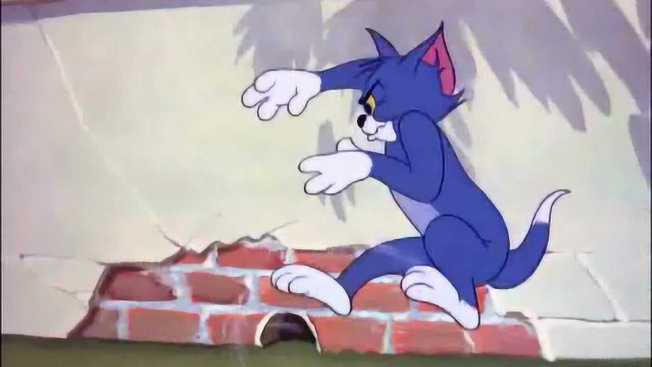 猫和老鼠汤姆被恶狗欺负怕了杰瑞学狗叫吓得汤姆毛都掉了