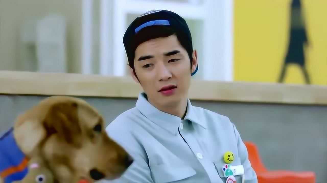 神犬小七艾亮对狗狗倒苦水狗狗听完就跑艾亮真没义气