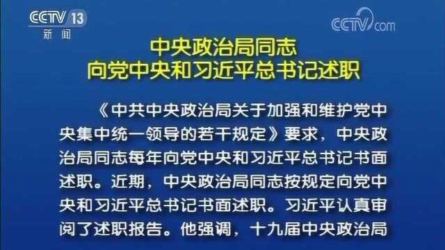 中央政治局同志向党中央和习近平总书记述职