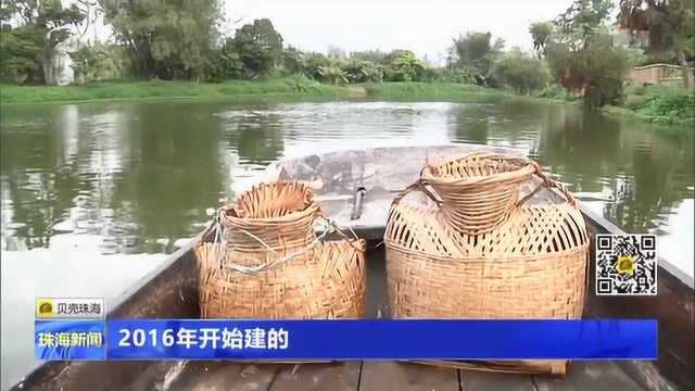 斗门南门村 乡村振兴激活“美丽经济”