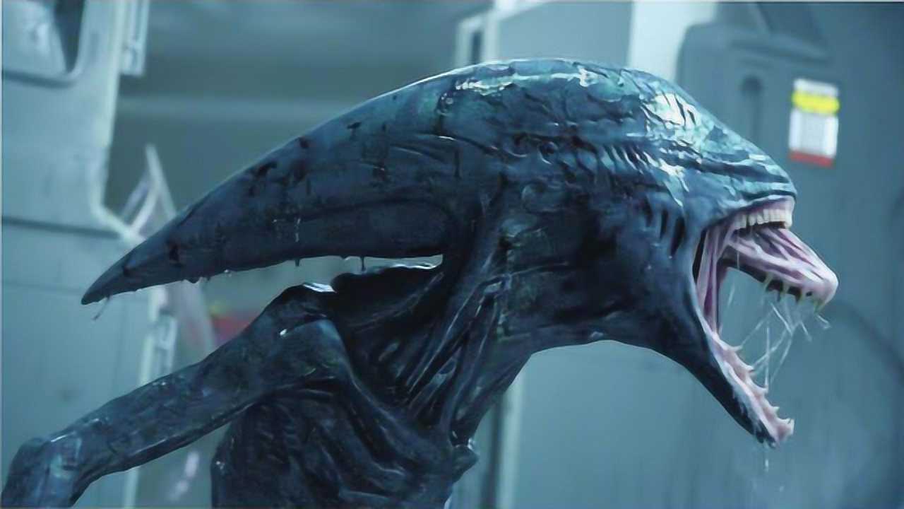 解密异形五大种类铁血异形智力最高异形皇后战力超强