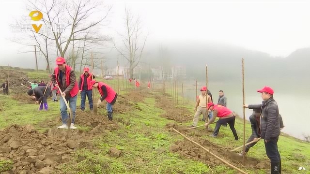 邵阳隆回400多名职工和群众,共同种下1.2万多株树