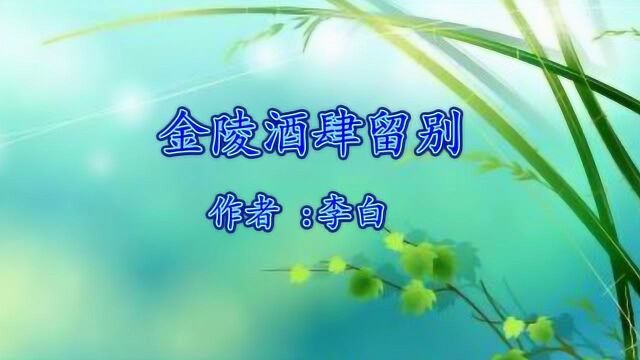 《金陵酒肆留别》李白 视频朗诵 风吹柳花满店香 吴姬压酒唤客尝