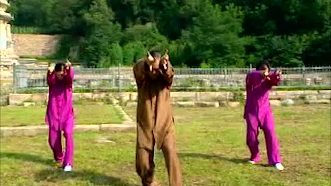 五禽戏视频教程功法教程