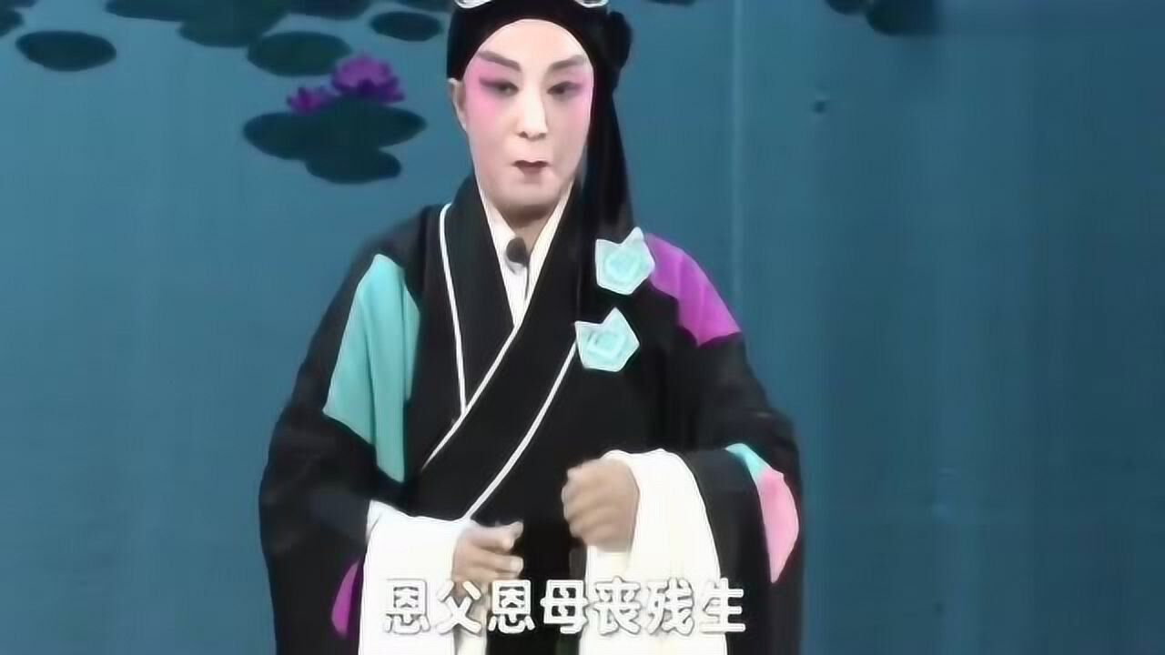 李艳玲演唱张廷秀私访选段大比之年开科动唱得真好