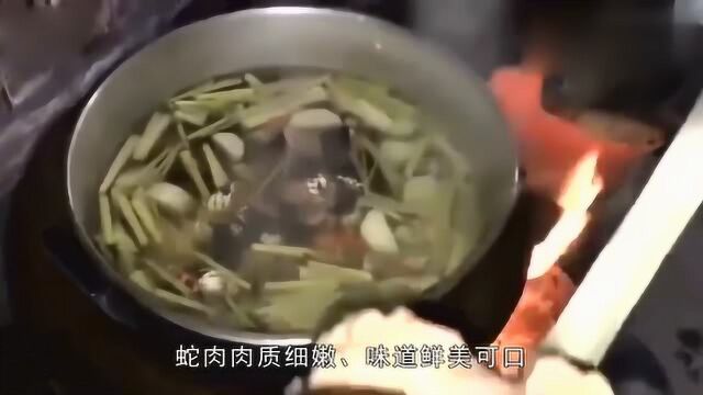 国外美食制作蛇肉汤,这样的特色美食你敢吃么?网友:不敢吃蛇