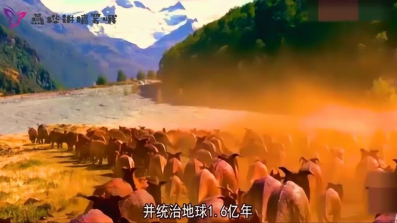 动画演示“地球的演化史”,直观感受生命的起源和演变_高清