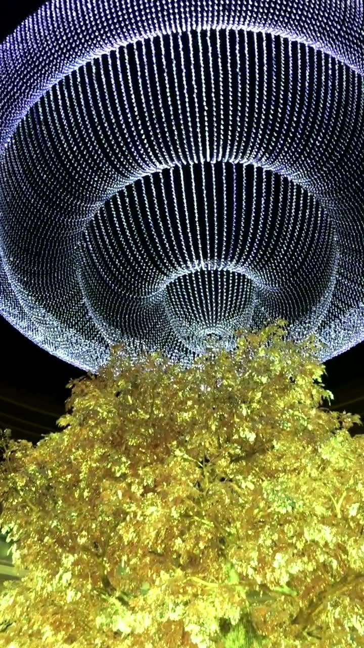 澳门永利娱乐场门口的黄金树,看了要赢钱_腾讯视频