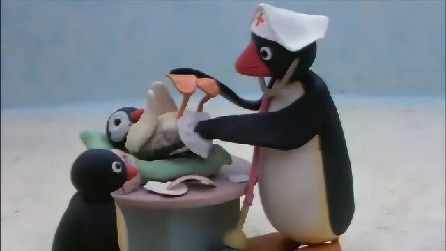 企鹅家族:小企鹅Pingu的妹妹出生了,真可爱,Pingu当哥哥了