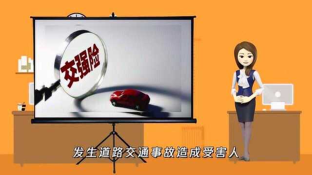 汽车全险包括什么?有哪些险种?