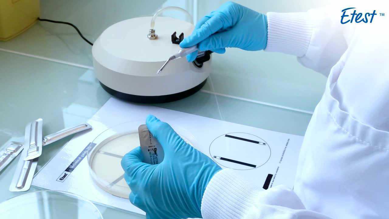 E-test药敏试验操作流程_高清