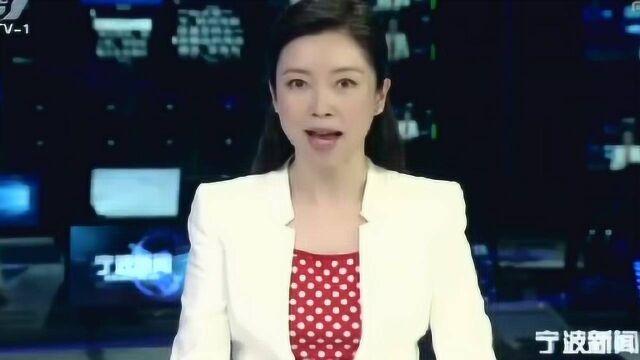 《宁波新闻》聚焦宁波杭州湾新区:打造沪甬合作排头兵