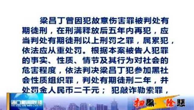 扫黑除恶:一涉黑团伙成员被判刑