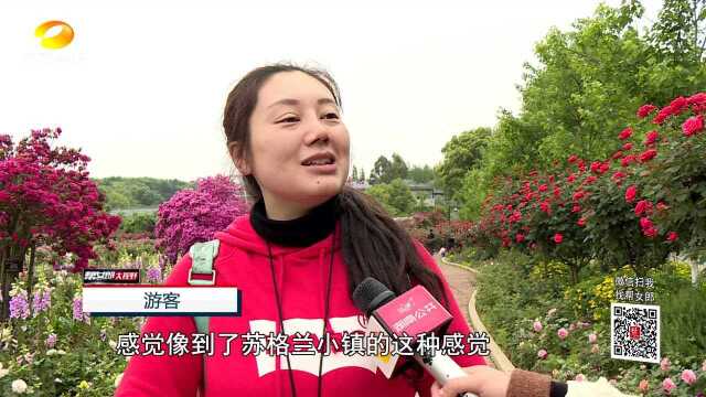 省森林植物园:月季、玫瑰争相绽放