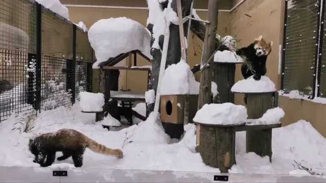 二月の北海道ⷮŠ东京之行