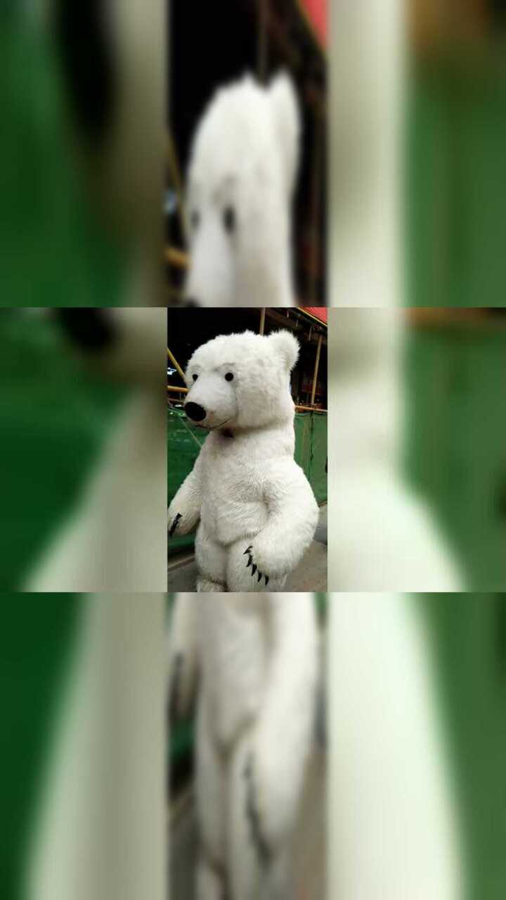 小白熊