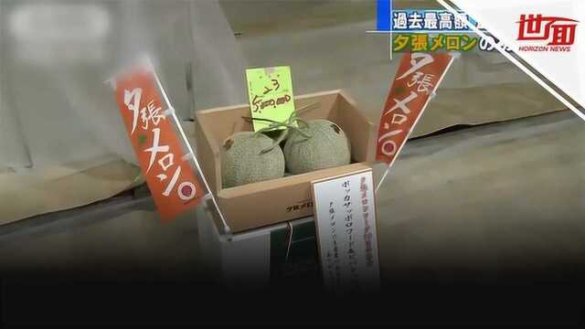 日本2颗蜜瓜拍出500万日元天价 买家:买回去不为了吃