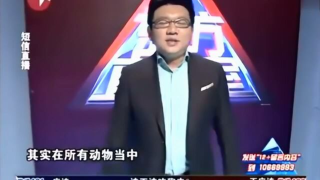 “爱狗人士”高速拦车救狗,导致更多的狗死亡,这种行为合法吗