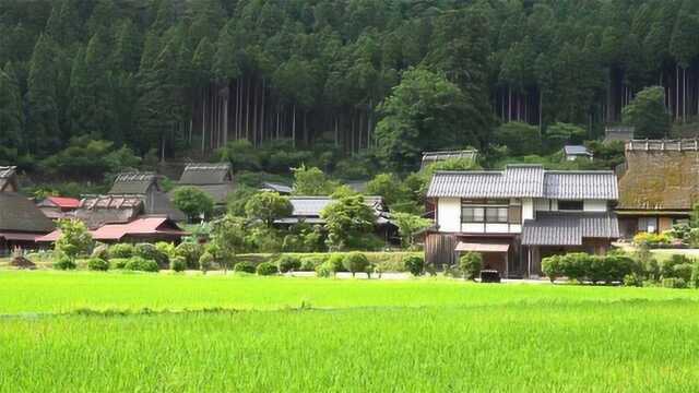 这个村庄因都是茅草屋而出名,很多游客慕名而来