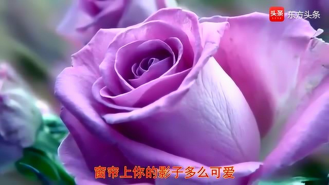 回味经典李琛一首窗外旋律优美动听久久萦绕在耳边