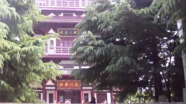 4分钟带你玩遍三门峡天鹅湖景区