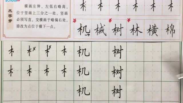 硬笔书法教学:木字旁写法讲解,想学书法没技巧?在这你都能学到