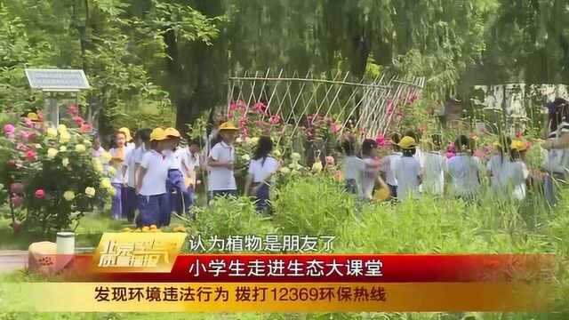 小学生走进生态大课堂