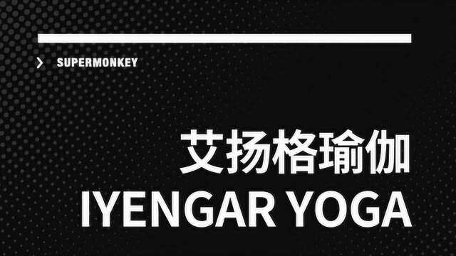 IYENGAR艾扬格瑜伽 60S