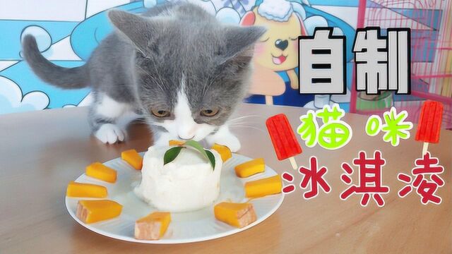 铲屎官自制猫咪冰淇淋,猫咪吃的一脸迷醉,这个夏天值了!