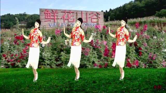 云南七彩族民歌广场舞《纳西姑娘》