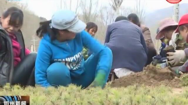 五台县门限石乡:树典型能人带动 兴产业乡亲致富