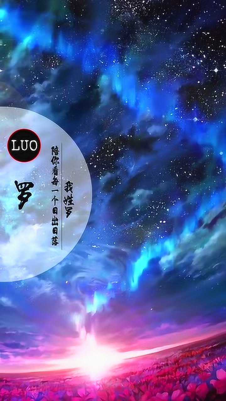 我姓罗 却网罗不到你的一个