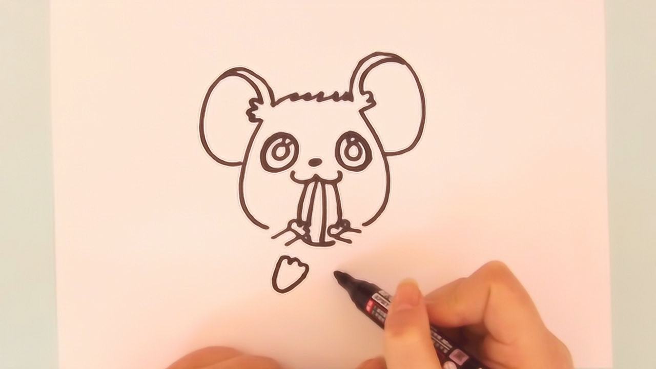 瓜子的简笔画 仓鼠图片