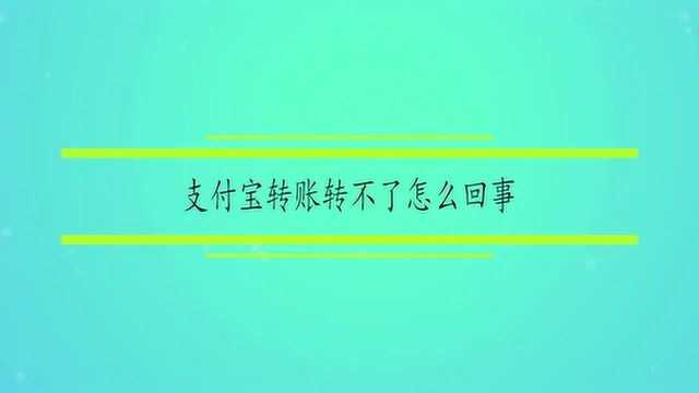 支付宝转账转不了怎么回事