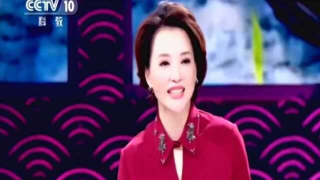 无可奈何花落去,似曾相识燕归来