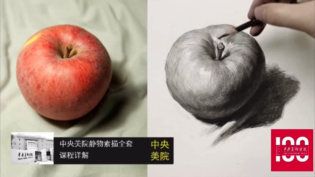 素描静物画苹果写生讲解示范