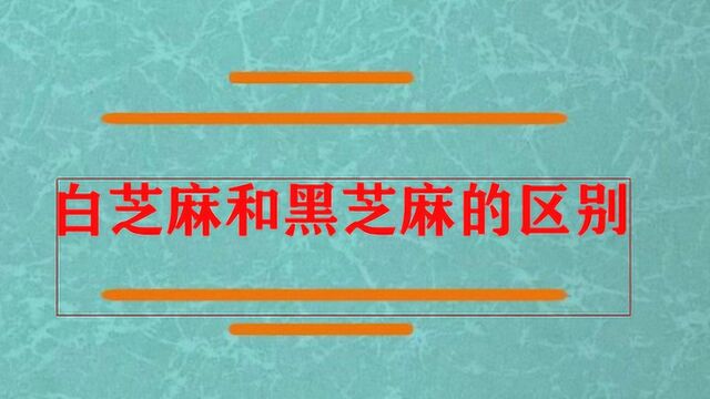 白芝麻和黑芝麻的区别是什么?