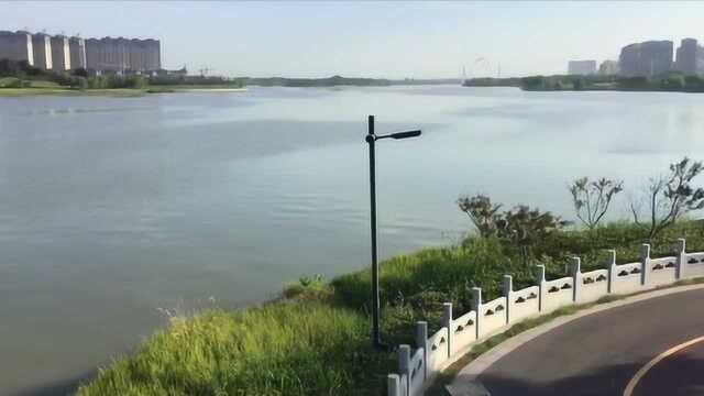 开封西湖风景宜人,郑开大道旁的一道靓丽风景