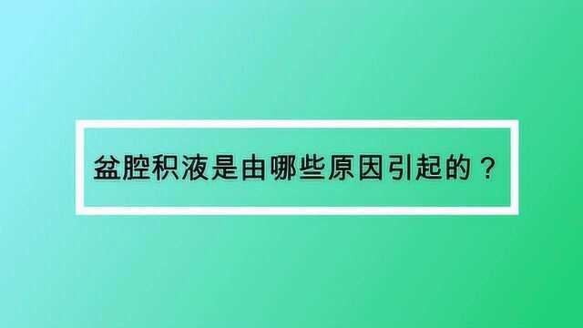 盆腔积液是由哪些原因引起的?