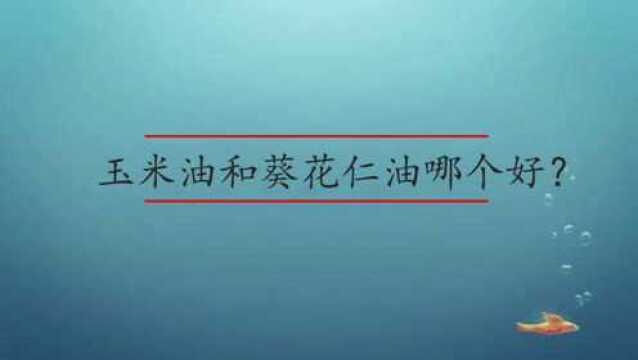 玉米油和葵花仁油哪个好?